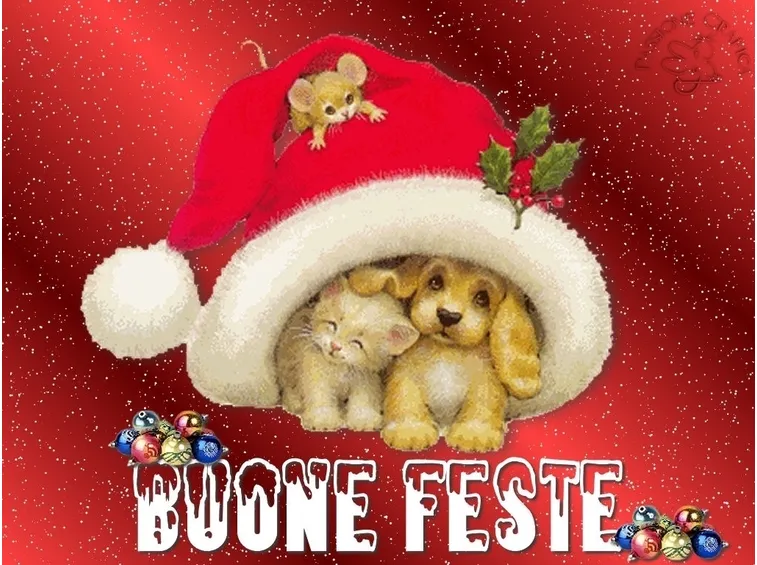 frasi per natale-11