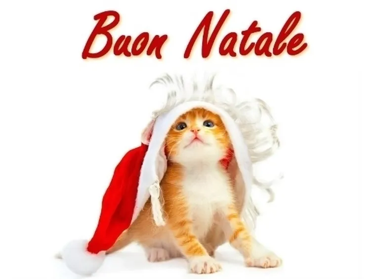frasi per natale-12