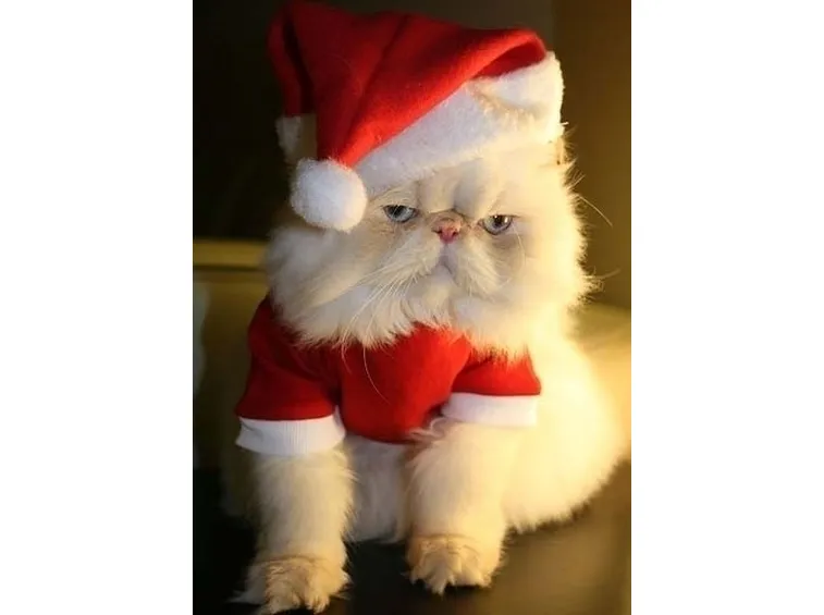 casa di babbo natale-12