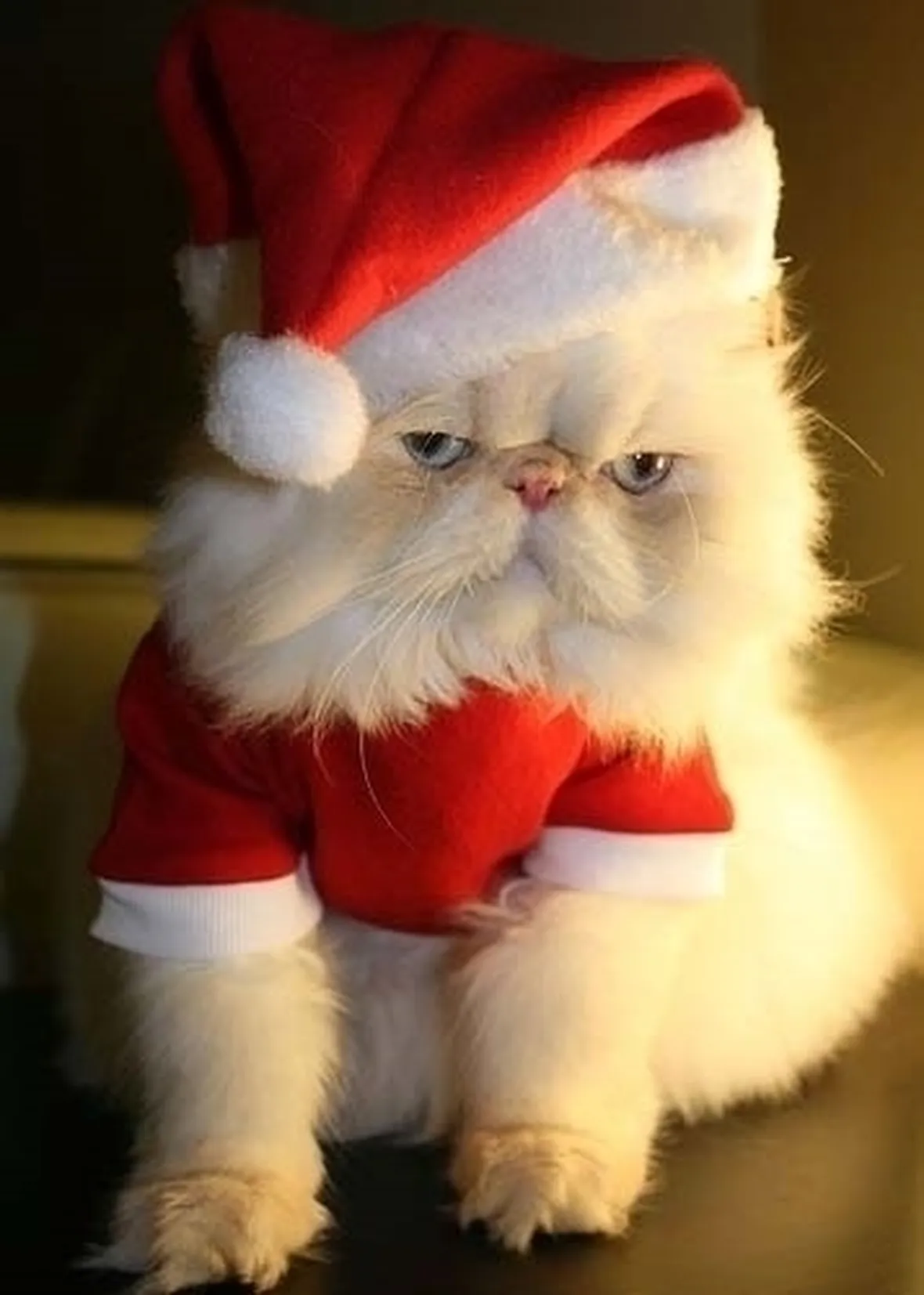 casa di babbo natale-12