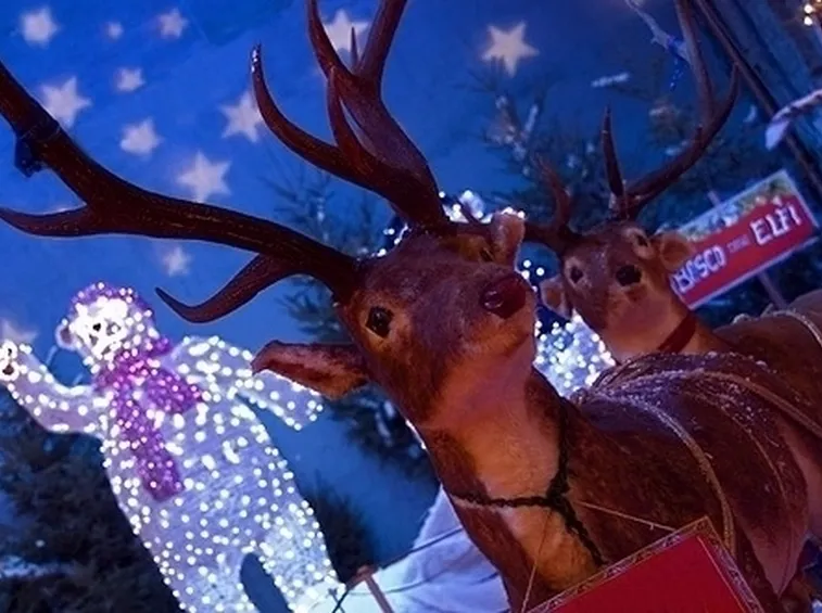 renne babbo natale-1
