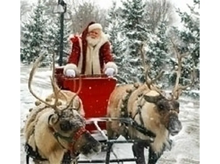renne babbo natale-4