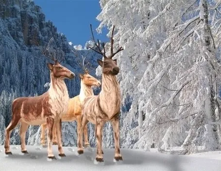 renne di babbo natale-7