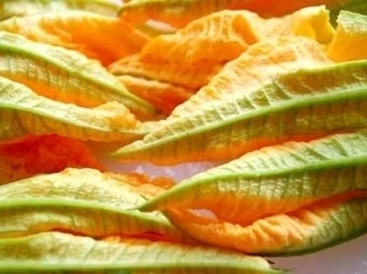 Le comuni malattie della pianta di zucchina e rimedi