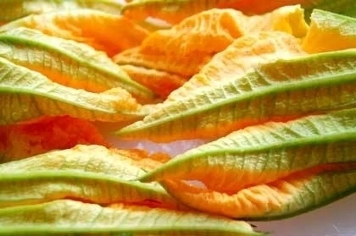 Le comuni malattie della pianta di zucchina e rimedi