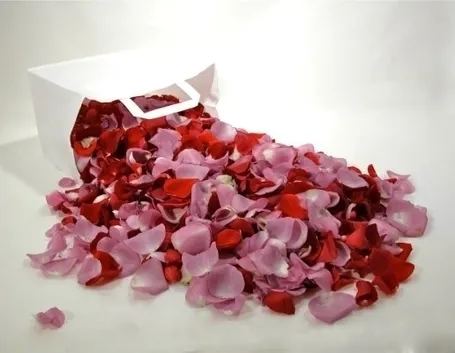 petali di rosa-6