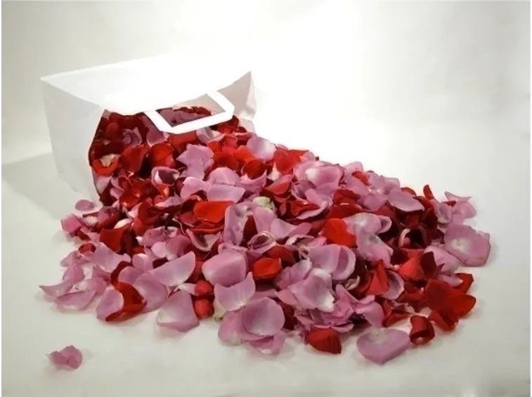 petali di rosa-6