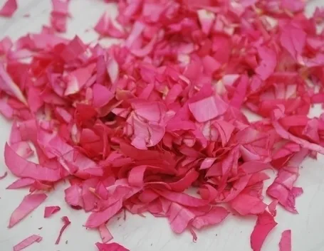 petali di rosa-9