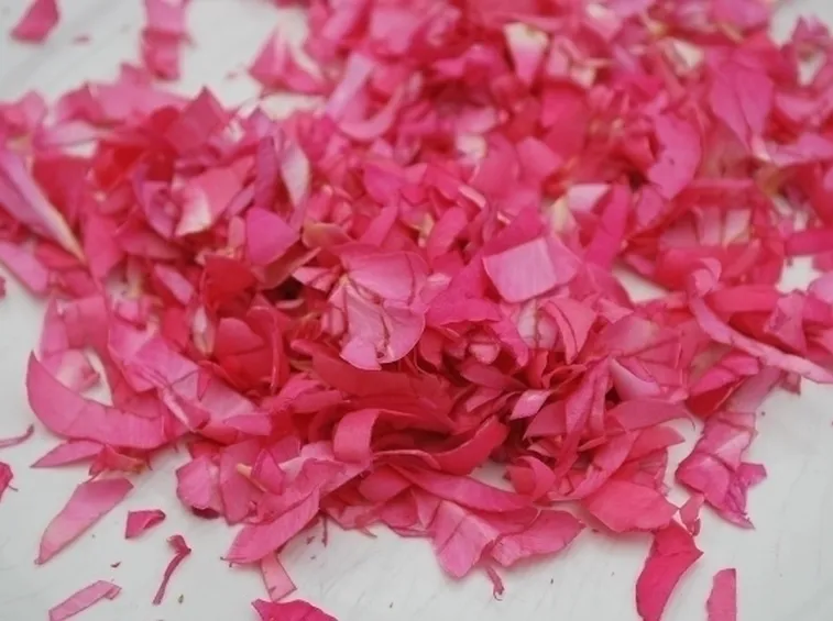 petali di rosa-9