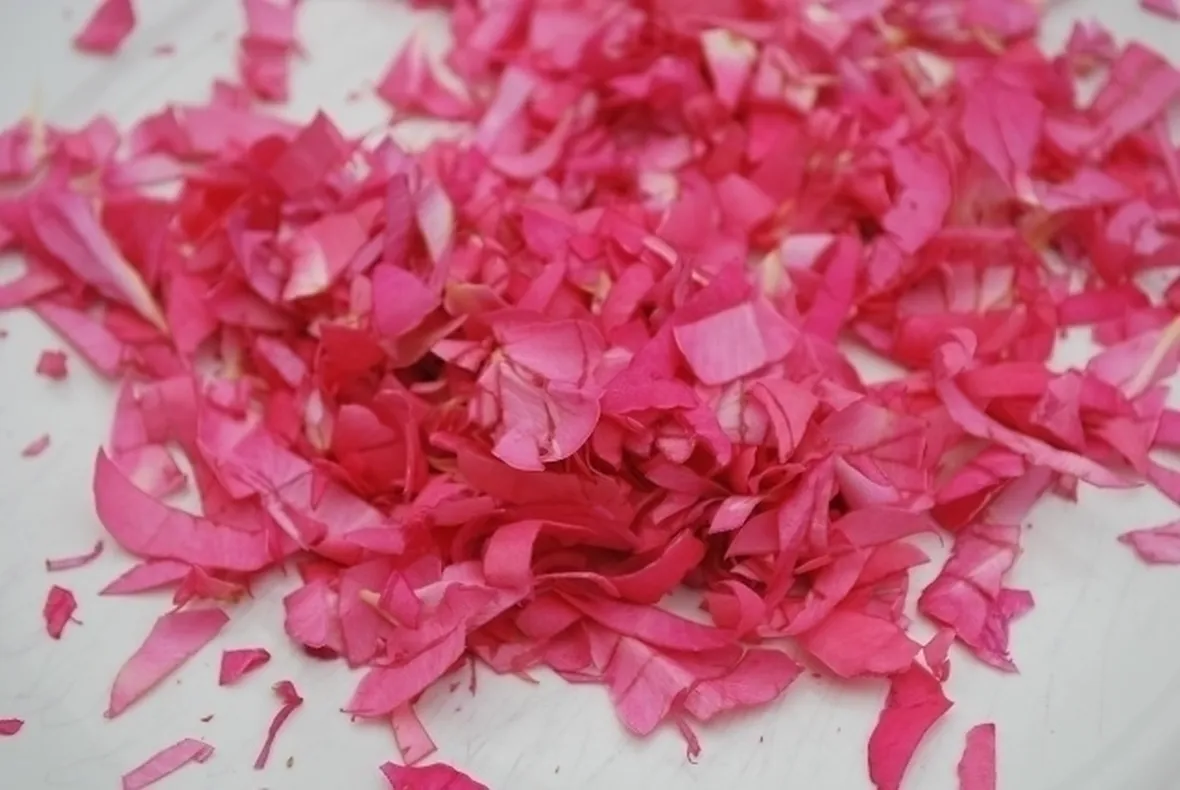 petali di rosa-9
