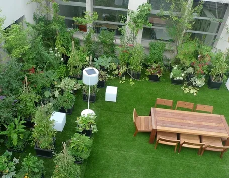 Giardino terrazza 