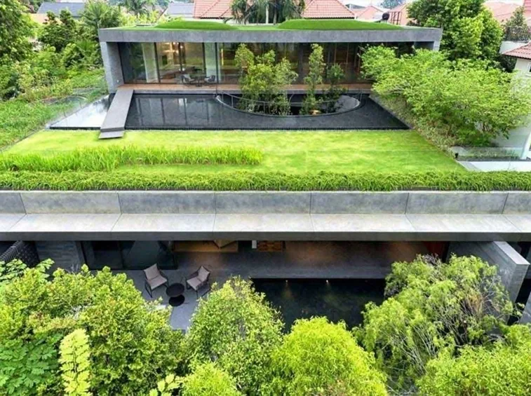 Giardino tetto