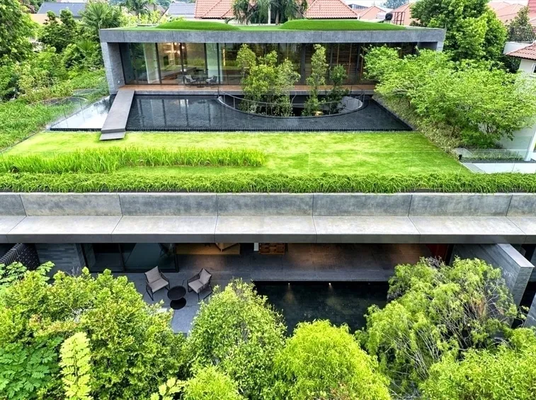 tetto giardino