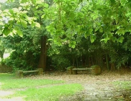 Complementi d'arredo giardini all'inglese-2