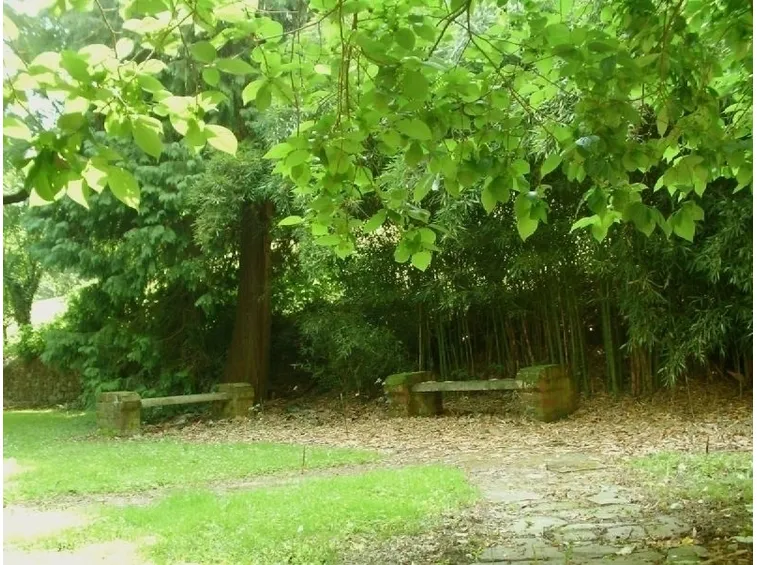 Complementi d'arredo giardini all'inglese-2