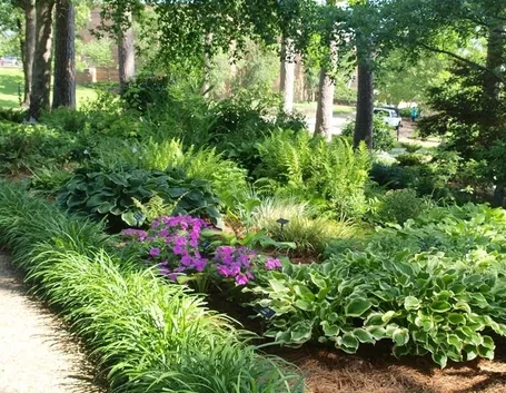 Progettazione giardini all'inglese-2