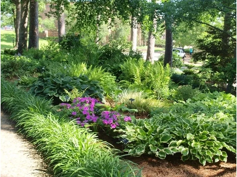 Progettazione giardini all'inglese-2