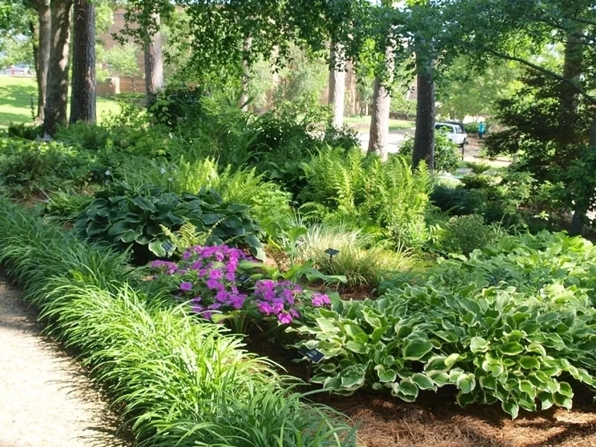 Progettazione giardini all'inglese-2