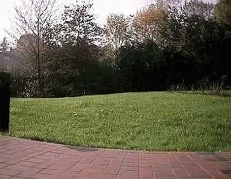 Progettazione giardini all'inglese-3