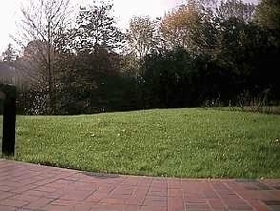 Progettazione giardini all'inglese-3