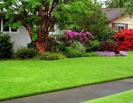Progettazione giardini all'inglese-7