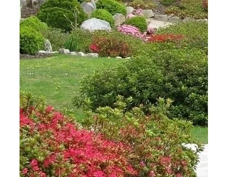Progettazione giardini all'inglese-9