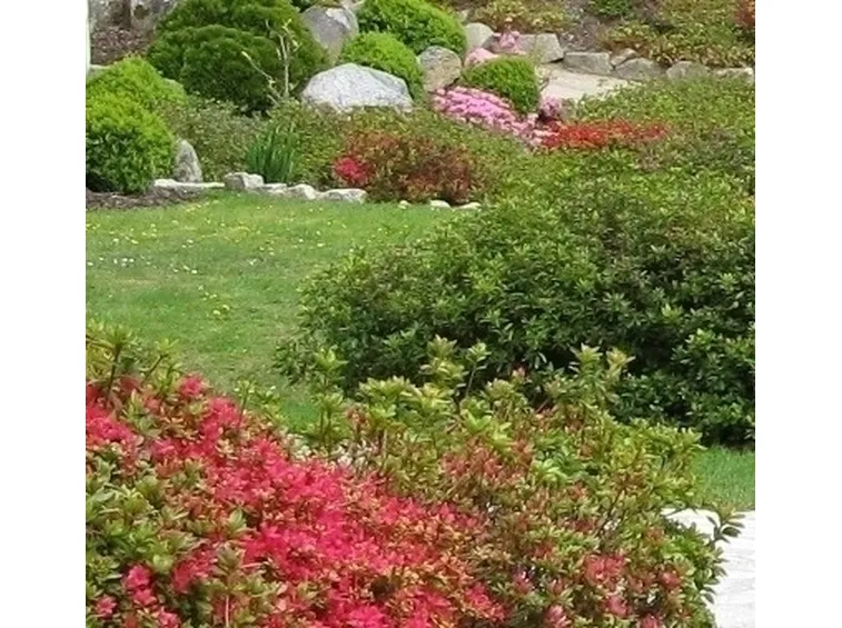 Progettazione giardini all'inglese-9