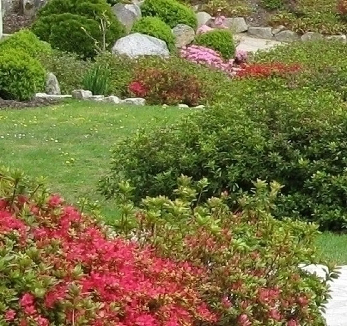 Progettazione giardini all'inglese-9