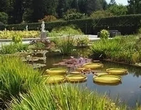 Progettazione giardini all'italiana-5