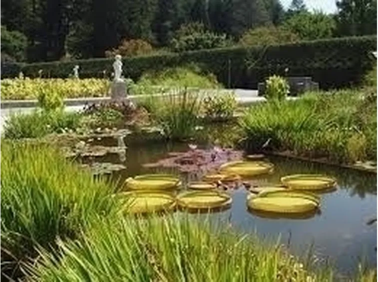 Progettazione giardini all'italiana-5