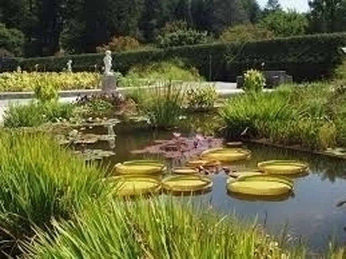 Progettazione giardini all'italiana-5