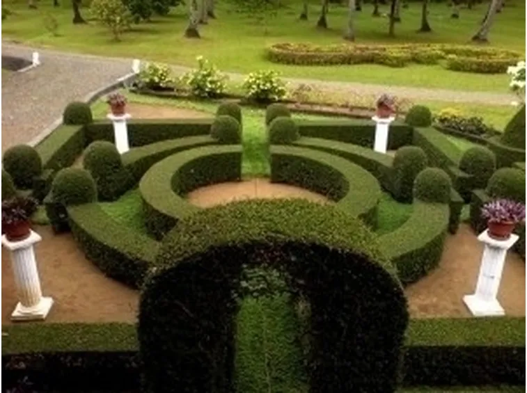 Progettazione giardini all'italiana-7