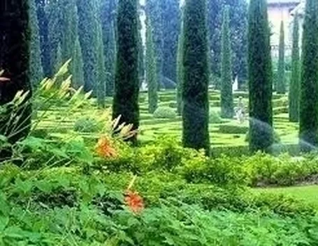 Progettazione giardini all'italiana-9