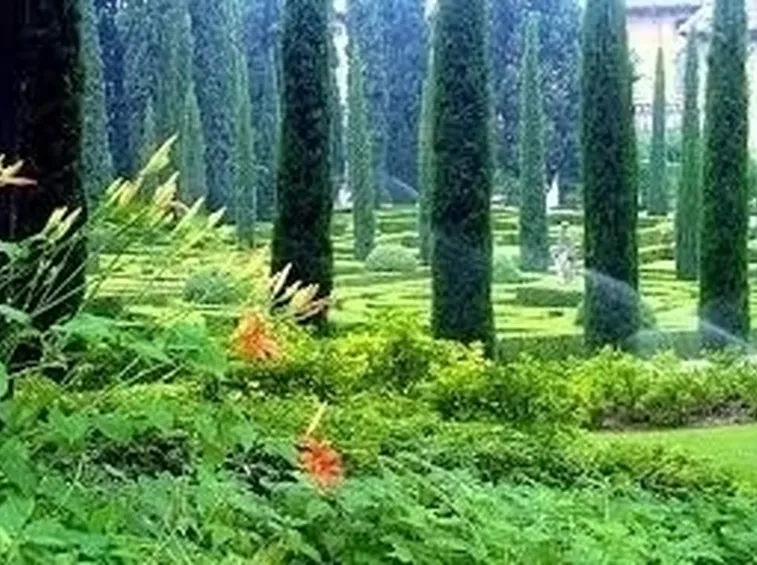 Progettazione giardini all'italiana-9
