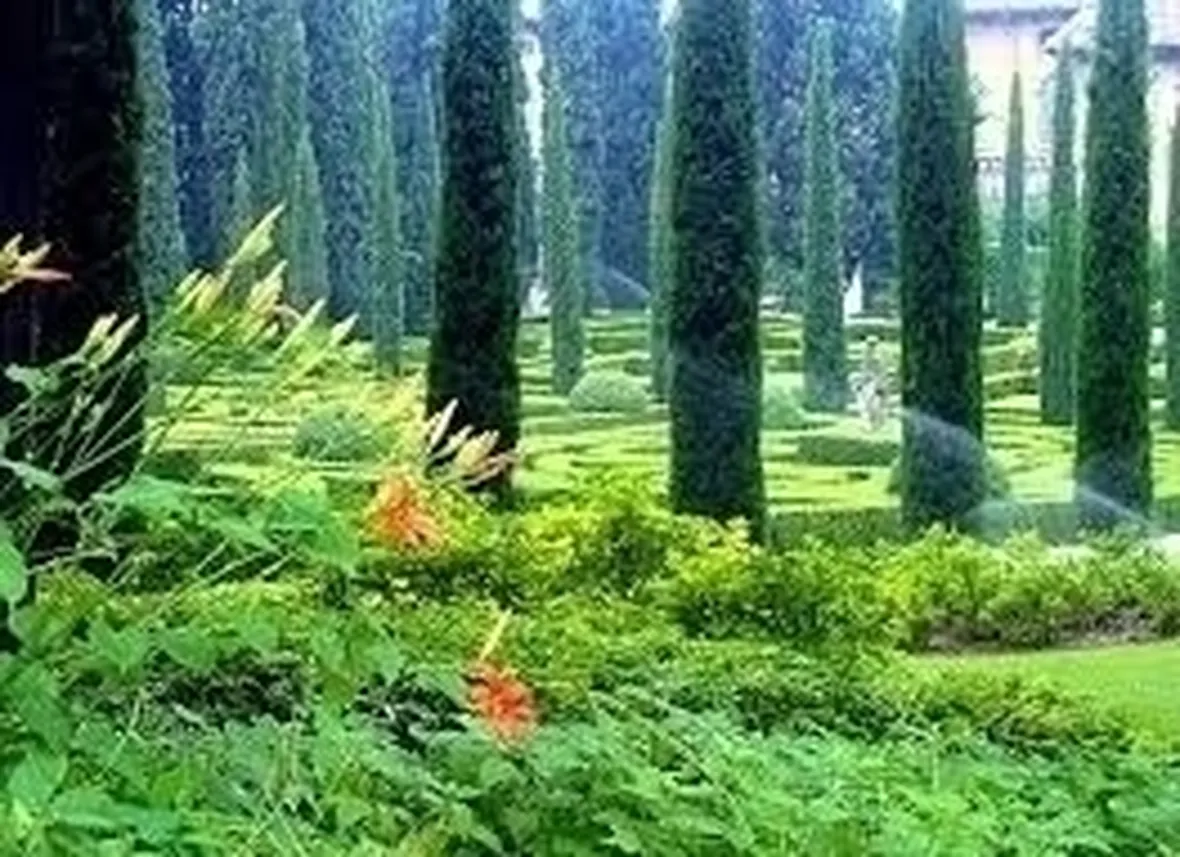 Progettazione giardini all'italiana-9