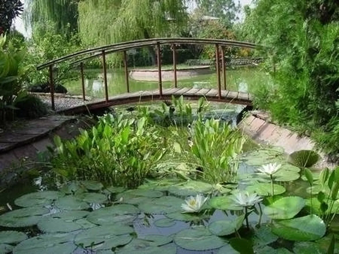 laghetti d'acqua-1