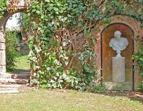 Domanda : edera