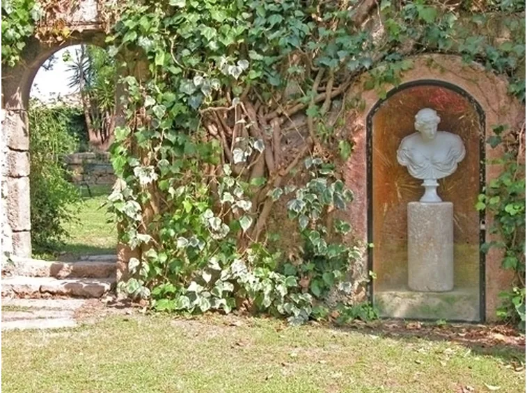 Domanda : edera