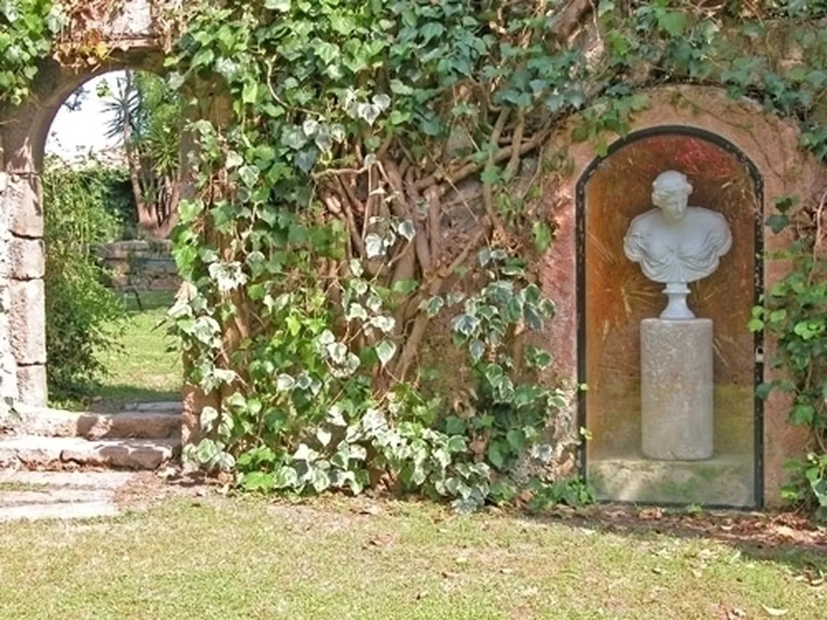 Domanda : edera
