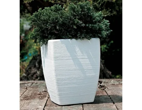 Fiordaliso-20