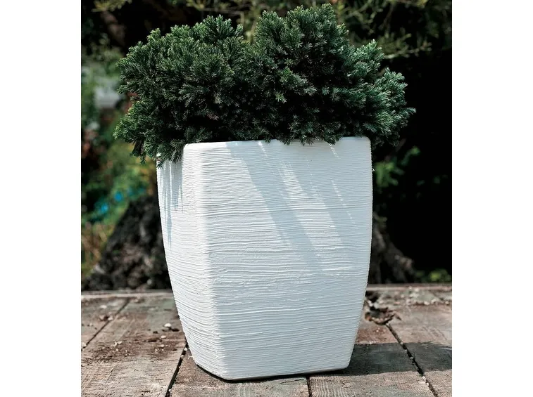 Fiordaliso-20
