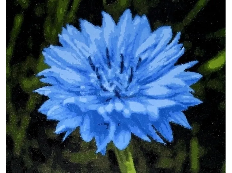 Fiordaliso-21