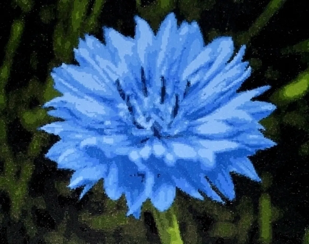 Fiordaliso-21