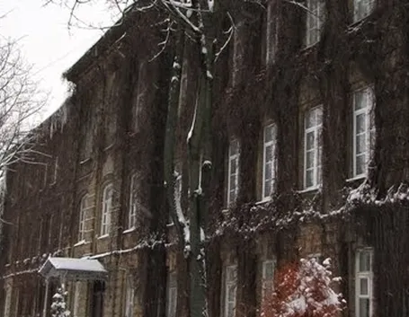 Gerani edera in inverno