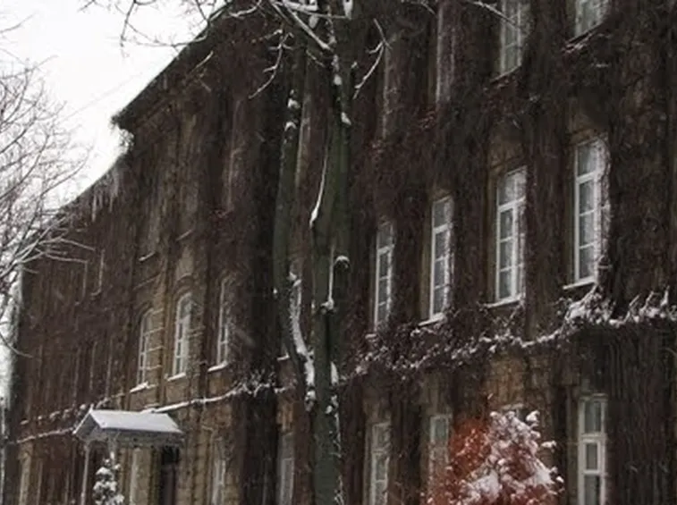 Gerani edera in inverno