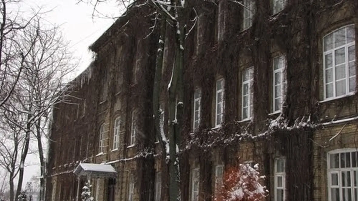 Gerani edera in inverno