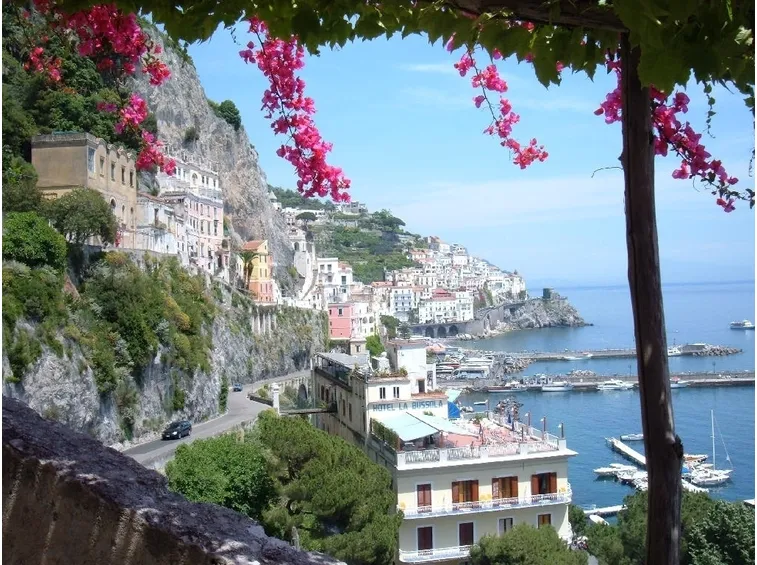 Piantare la bouganville