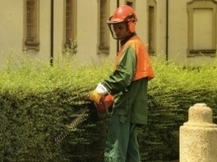 Taglio Siepi-2