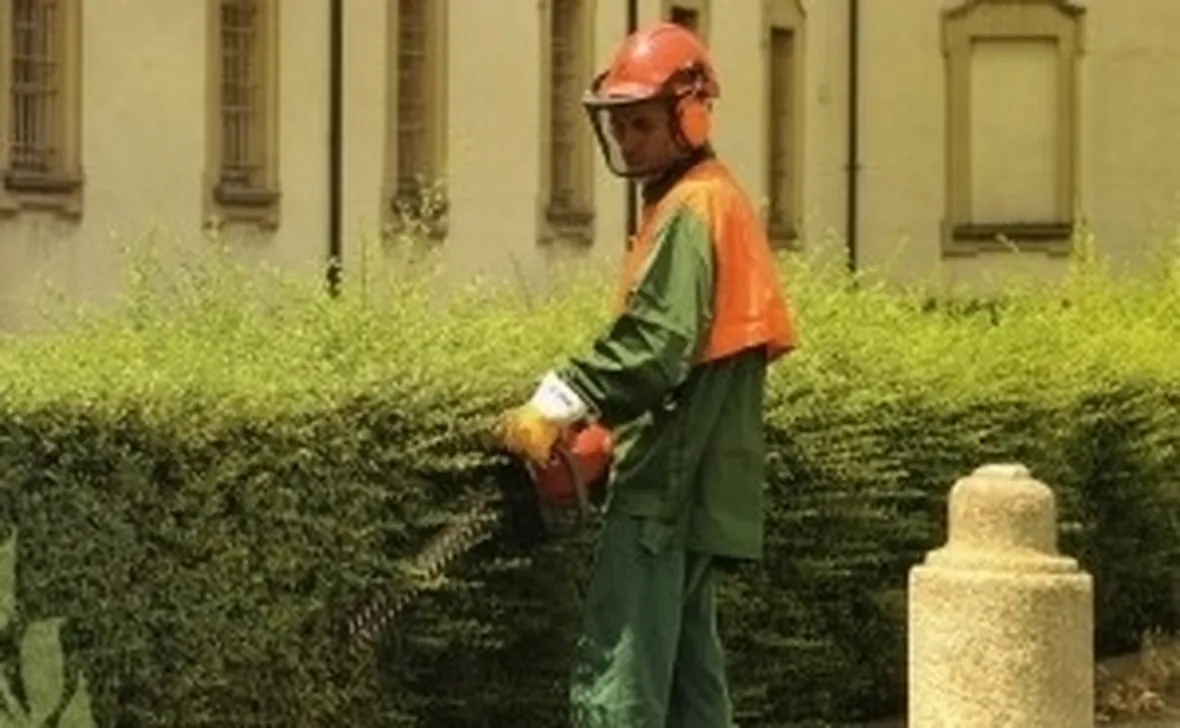 Taglio Siepi-2