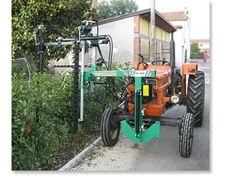 Taglio Siepi-6